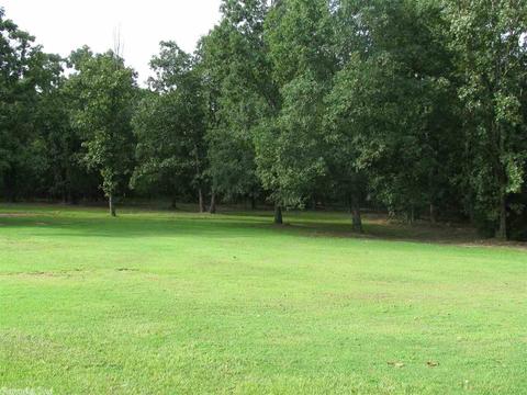 49 Mill Pond Rd, Conway, AR 72034 photo 3