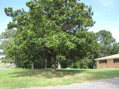 5929 E Sardis, Hensley, AR 72065 photo 19