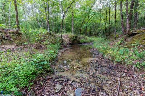 23 Hunters Run Rd, Mount Ida, AR 71957 photo 11