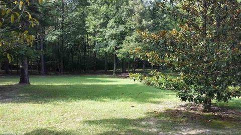 13945 E Polk Rd, Alexander, AR 72002 photo 8