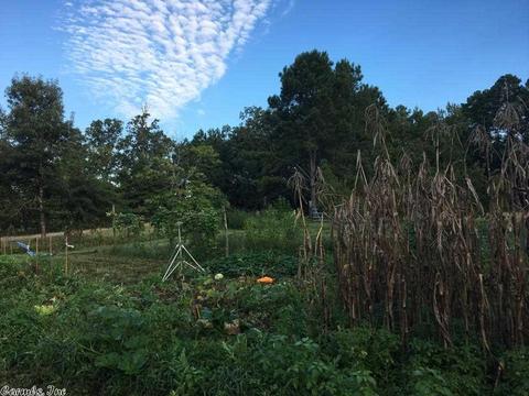 1209 Sugar Loaf Rd, Amity, AR 71921 photo 16