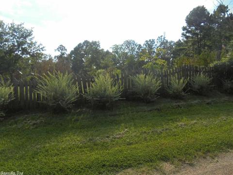 1209 Sugar Loaf Rd, Amity, AR 71921 photo 12