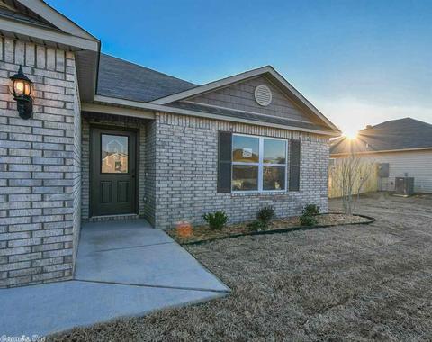 6301 Lena Dr, Alexander, AR 72002 photo 4