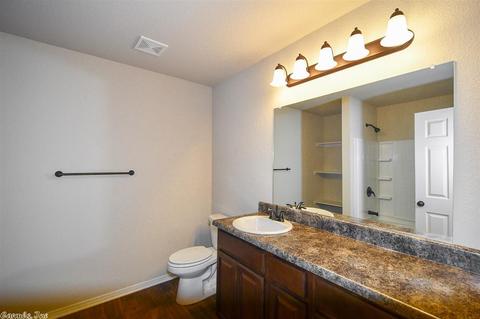 6301 Lena Dr, Alexander, AR 72002 photo 26