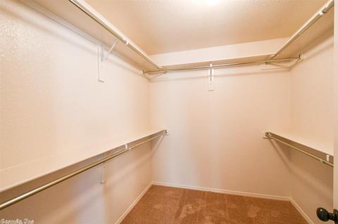 6301 Lena Dr, Alexander, AR 72002 photo 25