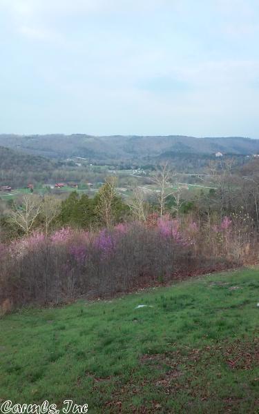 776 Ruddells, Mountain View, AR 72560 photo 33