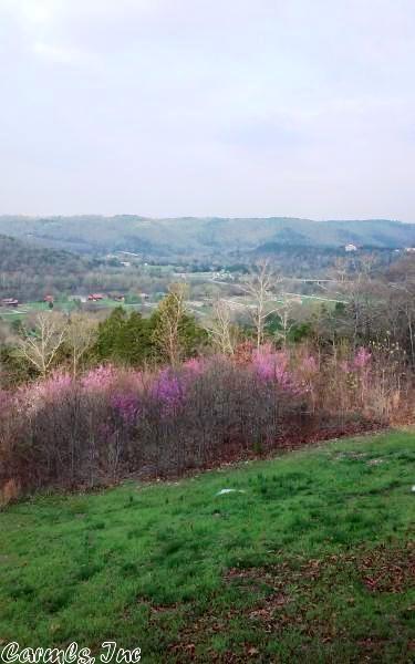 776 Ruddells, Mountain View, AR 72560 photo 32