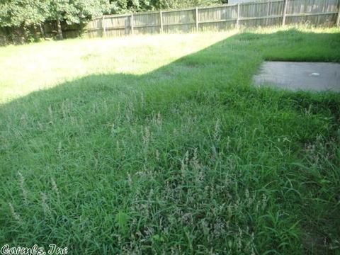 65 Bud Grimes Rd, Ward, AR 72176 photo 4