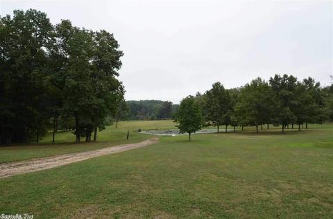 2325 Striper Ln, Paron, AR 72122 photo 8