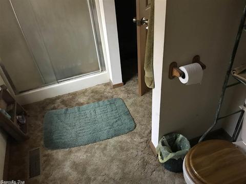 1309 Polk Road 14, Wickes, AR 71973 photo 7