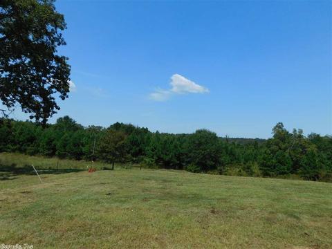 577 Polk Road 29 Rd, Hatfield, AR 71945 photo 6