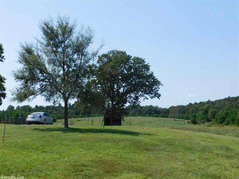 577 Polk Road 29 Rd, Hatfield, AR 71945 photo 10