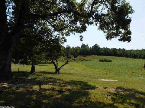 577 Polk Road 29 Rd, Hatfield, AR 71945 photo 4