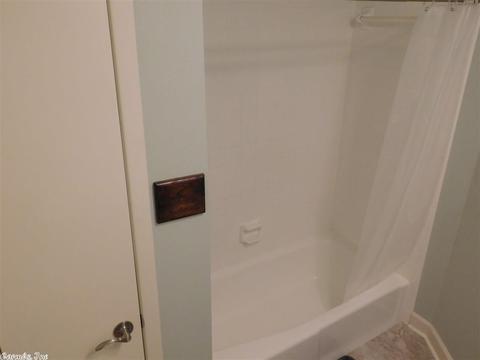 173 Arnhart St, Ash Flat, AR 72513 photo 19