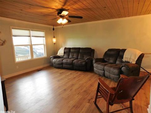 173 Arnhart St, Ash Flat, AR 72513 photo 4