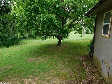 173 Arnhart St, Ash Flat, AR 72513 photo 22