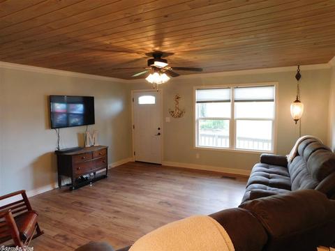 173 Arnhart St, Ash Flat, AR 72513 photo 3