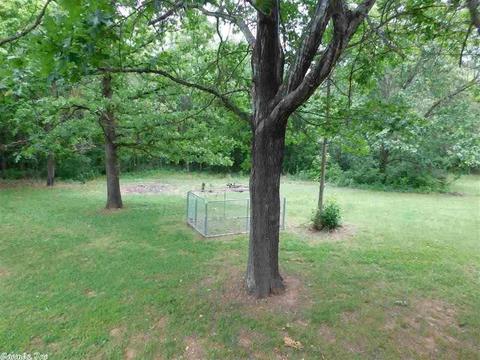 173 Arnhart St, Ash Flat, AR 72513 photo 21