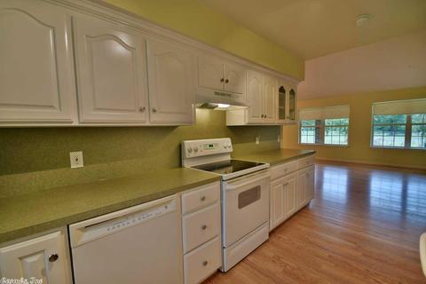 22 E Skyline Dr, Greenbrier, AR 72058 photo 10