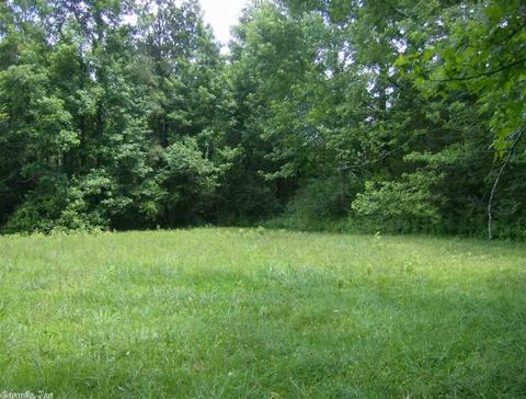 44 N Broadview, Greenbrier, AR 72058 photo 6