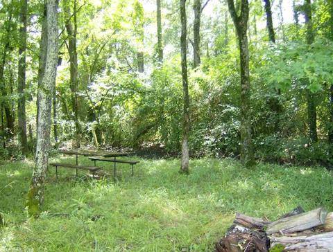 44 N Broadview, Greenbrier, AR 72058 photo 15