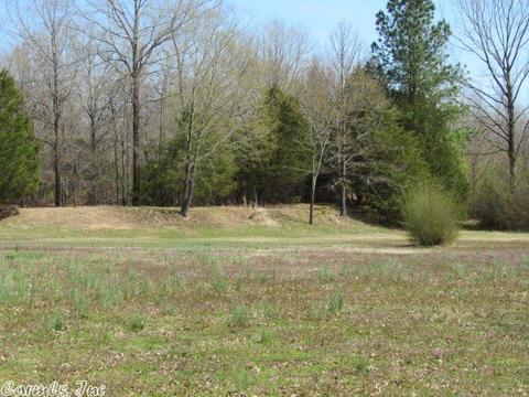 44 N Broadview, Greenbrier, AR 72058 photo 22