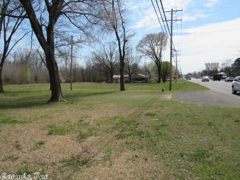 44 N Broadview, Greenbrier, AR 72058 photo 28