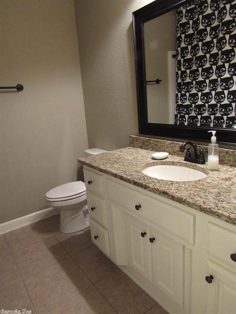 60 Cedar Brook Cv, Austin, AR 72007 photo 19