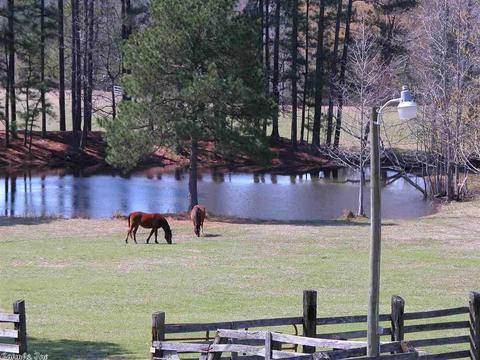 17484 Sulphur Springs Rd, Malvern, AR 72104 photo 33