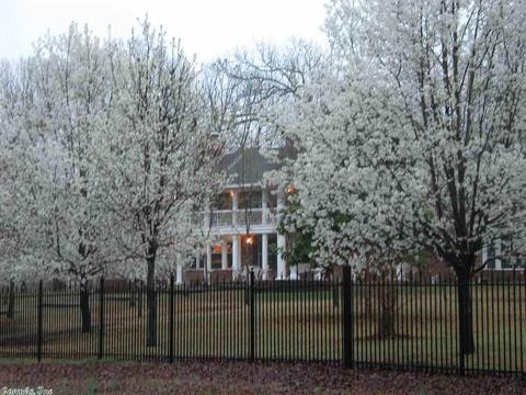 17484 Sulphur Springs Rd, Malvern, AR 72104 photo 4