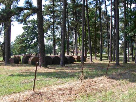 17484 Sulphur Springs Rd, Malvern, AR 72104 photo 32