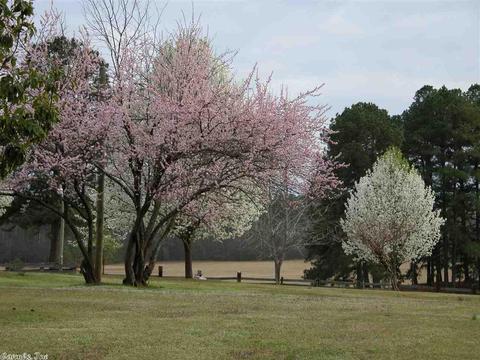 17484 Sulphur Springs Rd, Malvern, AR 72104 photo 5