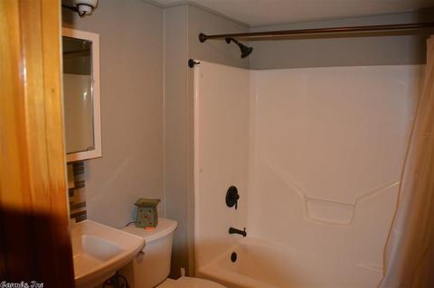 475 Tiger B Rd, Drasco, AR 72530 photo 22