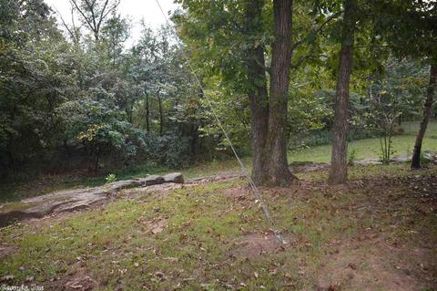 475 Tiger B Rd, Drasco, AR 72530 photo 11