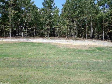 298 Reuben Dr, Alexander, AR 72002 photo 33