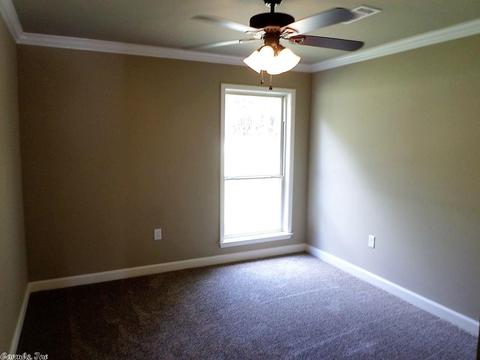 298 Reuben Dr, Alexander, AR 72002 photo 27