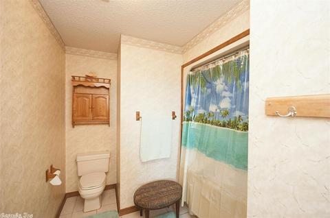 51 Battles Loop, Greenbrier, AR 72058 photo 15