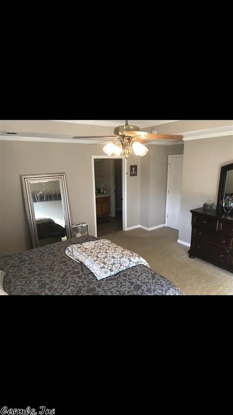 201 Shamsie Ln, White Hall, AR 71602 photo 14