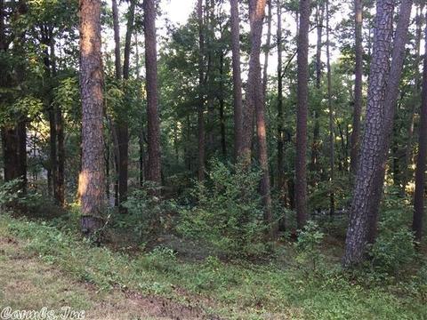 59 Lakeview Dr, Conway, AR 72032 photo 27