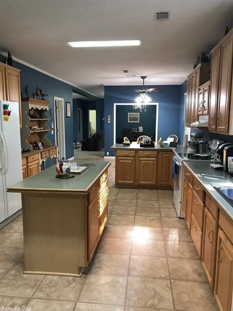 2417 Thunderbird Loop, Traskwood, AR 72167 photo 5