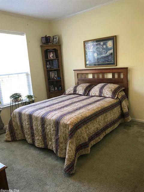 2417 Thunderbird Loop, Traskwood, AR 72167 photo 12