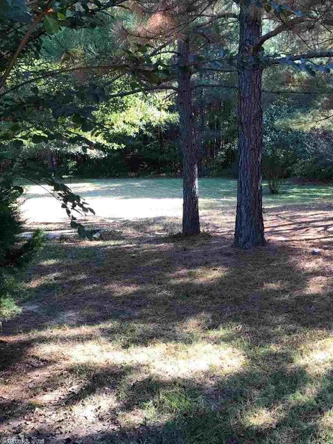 2417 Thunderbird Loop, Traskwood, AR 72167 photo 18