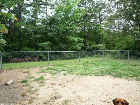 36 Hillcrest Dr, Mount Ida, AR 71957 photo 14