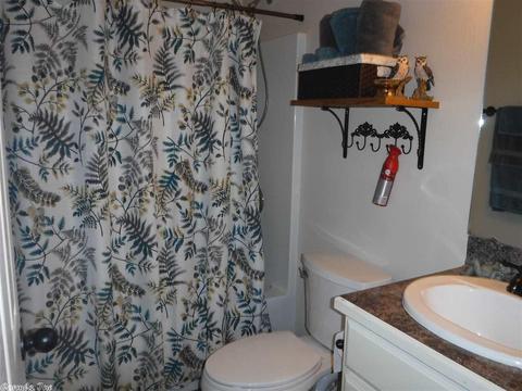 43 High Cir, Austin, AR 72007 photo 19