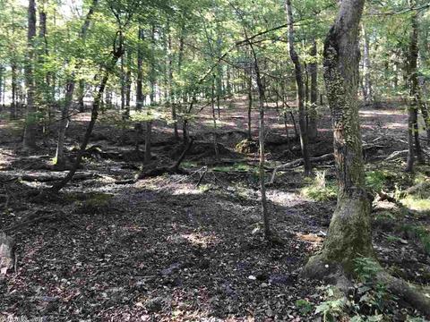 7151 Ridge Rd, Malvern, AR 72104 photo 22
