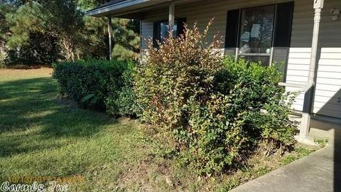 7 Couch Ln, Conway, AR 72032 photo 10