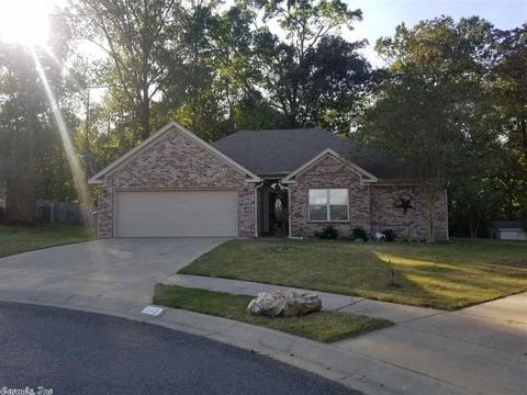118 Sahalee Cv, Haskell, AR 72015 photo 29