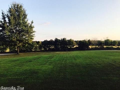 11 County Line Rd, Clinton, AR 72031 photo 17