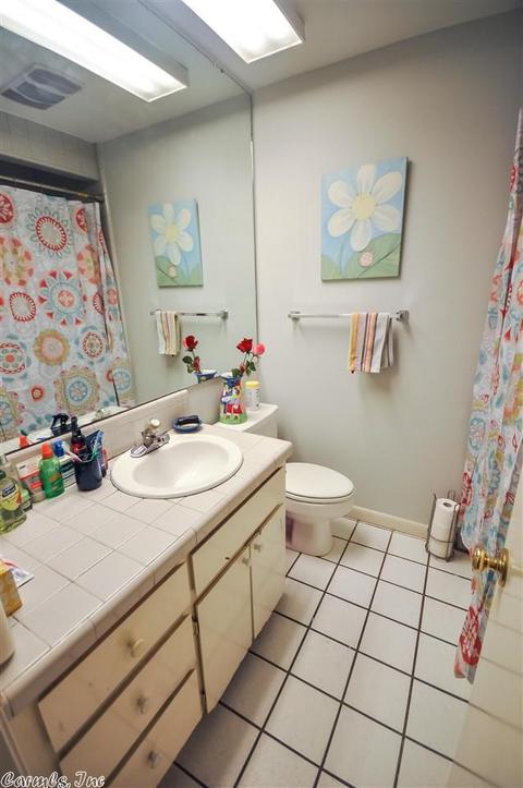 5 Williamsburg Ct, Conway, AR 72034 photo 16