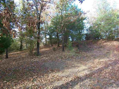 22 E Ridge Rd, Mayflower, AR 72106 photo 6
